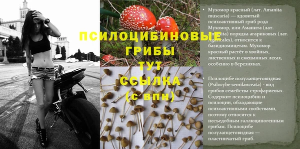 кристаллы Арсеньев