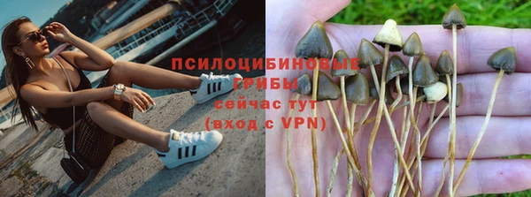 спиды Армянск