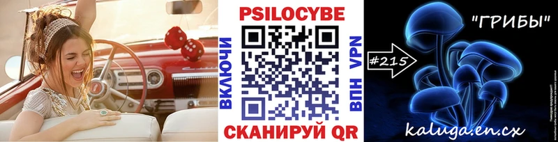 Псилоцибиновые грибы MAGIC MUSHROOMS  цены   Аткарск 